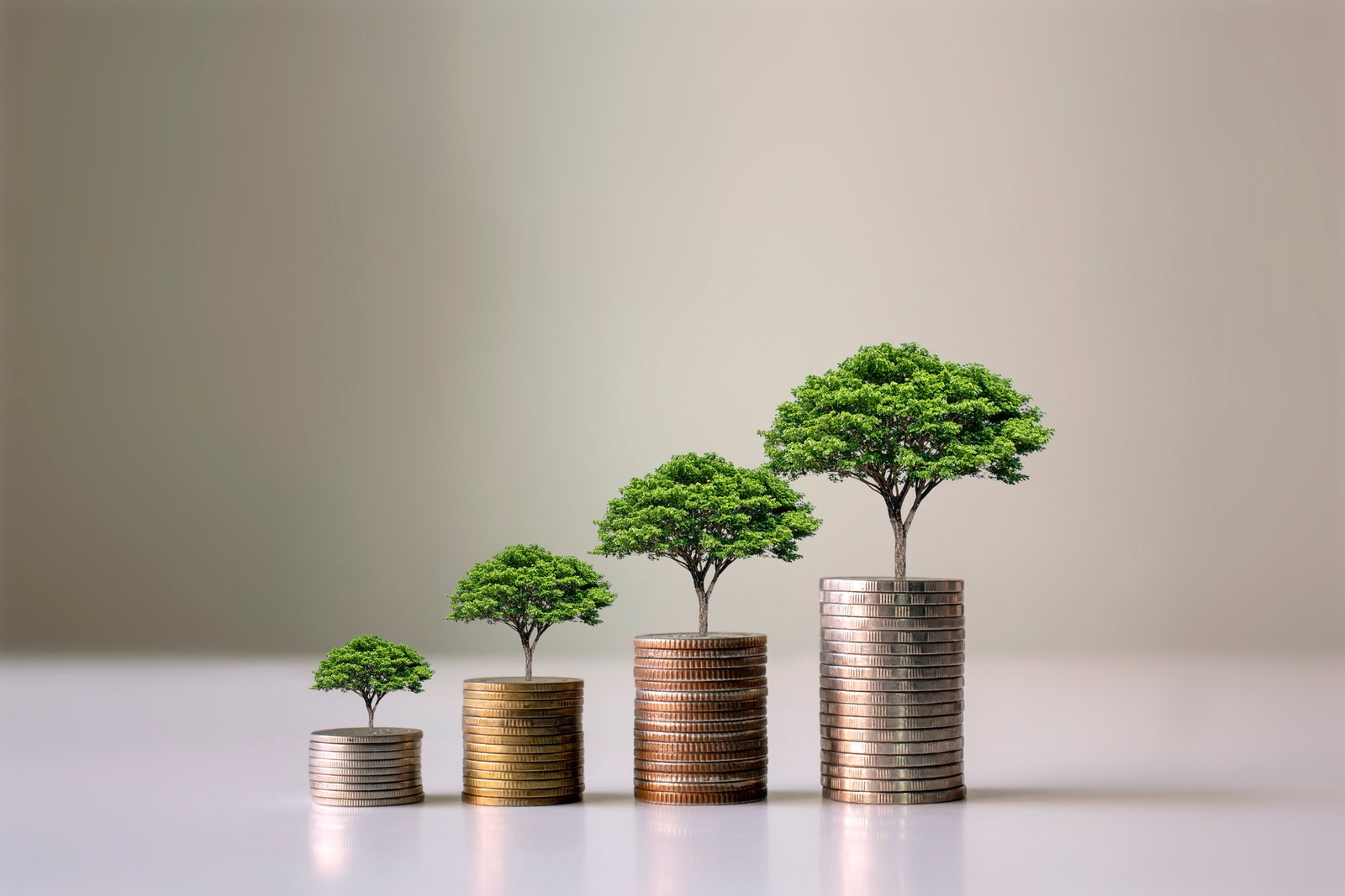 Capital Market & Due Diligence